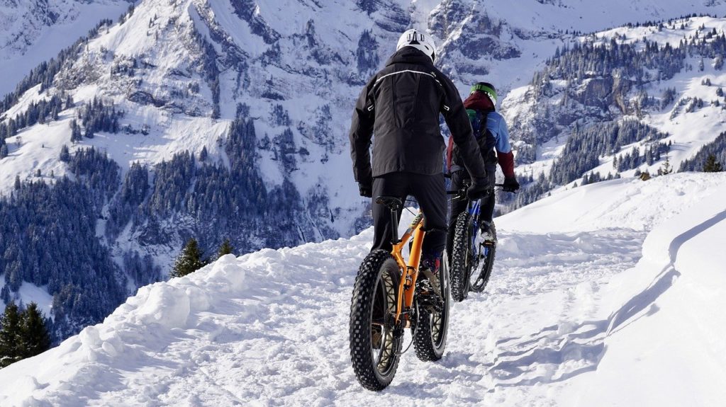 snow, fatbikes, mountain bikes-3066167.jpg